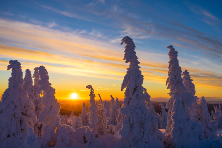 Bild-Nr: 12249389 Sonnenaufgang im Winter Erstellt von: PH-Photography