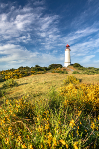 Bild-Nr: 12291237 Leuchtturm auf der Ostsee Insel Hiddensee  Erstellt von: FotoPictures