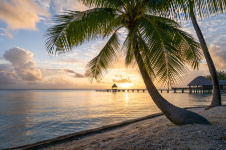 Bild-Nr: 12385358 Sonnenuntergang am Palmenstrand Erstellt von: eyetronic