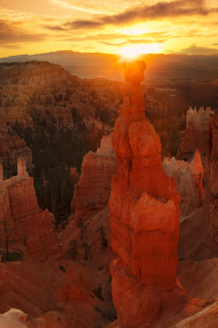 Bild-Nr: 12424139 Thors Hammer bei Sonnenaufgang im Bryce Canyon Erstellt von: KundenNr-360966