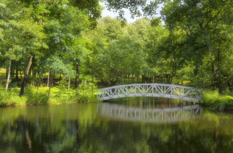 Bild-Nr: 12453671 Brücke Erstellt von: Johann Pavelka