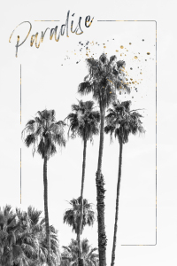 Bild-Nr: 12463577 Palmen Impression -  Paradies  Erstellt von: Melanie Viola