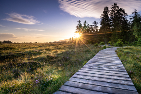 Bild-Nr: 12467465 Der Weg Erstellt von: Steffen Henze