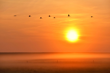 Bild-Nr: 12478709 Flug ins Abendrot Erstellt von: GUGIGEI