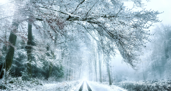 Bild-Nr: 12528130 Wanderweg im Schnee Erstellt von: Smileus