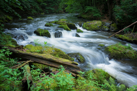 Bild-Nr: 12616943 Die Bode im Harz Erstellt von: Martin Martin Wasilewski