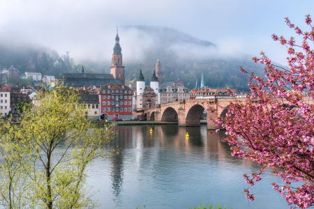 Bild-Nr: 12621969 Heidelberg im Frühling Erstellt von: eyetronic