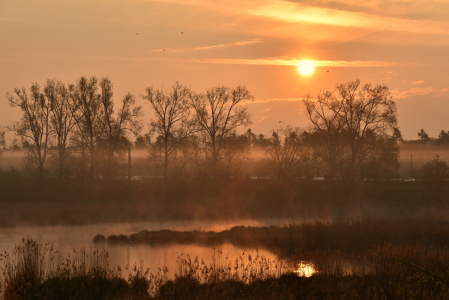 Bild-Nr: 12636203 Morgenstimmung Erstellt von: GUGIGEI