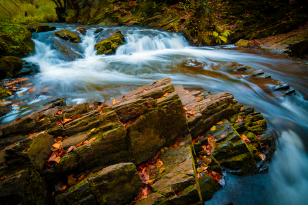 Bild-Nr: 12656880 Herbst am Selkefall Erstellt von: Martin Martin Wasilewski