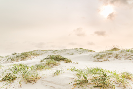 Bild-Nr: 12716730 Vom Wind gekämmte Dünen Erstellt von: Ursula Reins