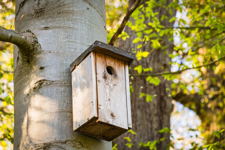 Bild-Nr: 12722716 zu vermieten Erstellt von: Ursula Reins