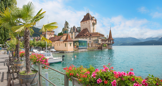 Bild-Nr: 12725763 Schloss Oberhofen am Thunersee Erstellt von: SusaZoom