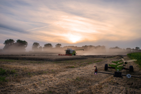 Bild-Nr: 12744410 Getreide Ernte auf dem Land Erstellt von: Tanja Riedel
