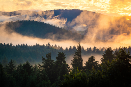 Bild-Nr: 12745908 Sonnenuntergang im Bayerischen Wald Erstellt von: Martin Martin Wasilewski