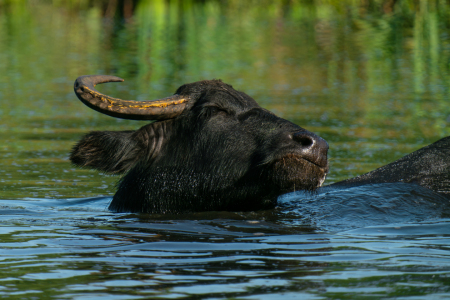 Bild-Nr: 12761479 Badespaß Erstellt von: volker heide