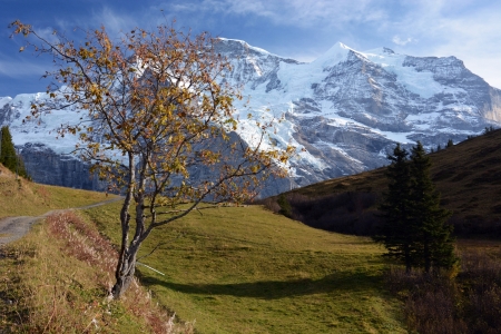 Bild-Nr: 12768270 Wandern im Herbst Erstellt von: Bettina Schnittert