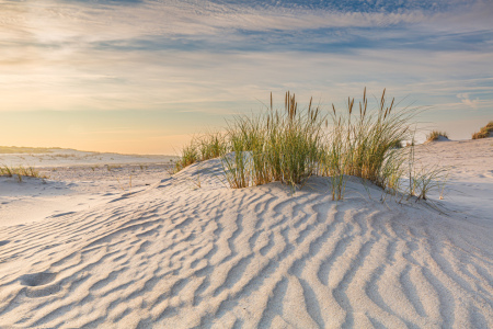 Bild-Nr: 12803405 Stranddünen  Erstellt von: Ursula Reins