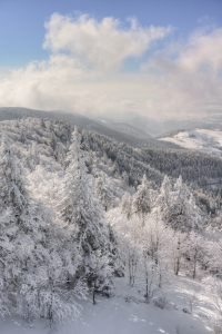 Bild-Nr: 12809239 Winter im Schwarzwald Erstellt von: Michael Valjak
