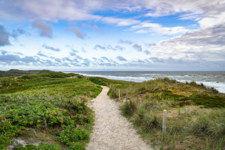 Bild-Nr: 12809668 Strandpfad in Rantum auf Sylt Erstellt von: eyetronic