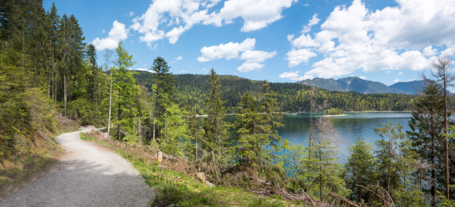 Bild-Nr: 12813964 Eibsee Rundweg Erstellt von: SusaZoom