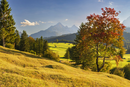 Bild-Nr: 12819307 Herbst Erstellt von: Walter G. Allgöwer