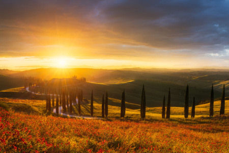 Bild-Nr: 12828840 Stimmungsvoller Sonnenuntergang in der Toskana Erstellt von: Daniela Beyer
