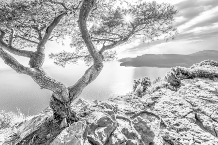 Bild-Nr: 12829305 Corniche des Cretes an der Cote d Azur - monochrom Erstellt von: dieterich