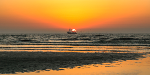 Bild-Nr: 12831654 Volle Kraft am Horizont Erstellt von: Ursula Reins