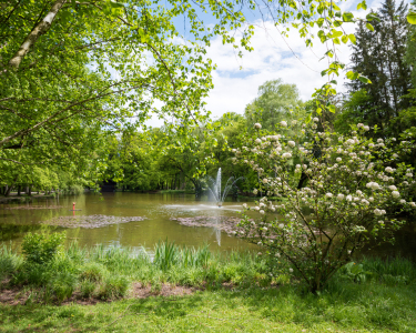 Bild-Nr: 12832608 Frühlingslandschaft Kurpark Bad Aibling Erstellt von: SusaZoom