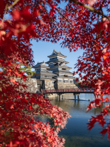 Bild-Nr: 12833423 Burg Matsumoto mit rotem Herbstlaub Erstellt von: eyetronic