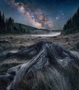 Bild-Nr: 12834495 Markante Baumstumpf in einer Seenlandschaft Erstellt von: Smileus