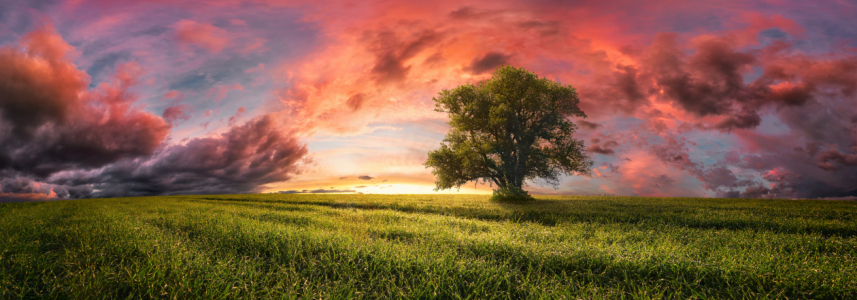 Bild-Nr: 12835394 Einsamer Baum bei spektakulärem Sonnenuntergang Erstellt von: Smileus