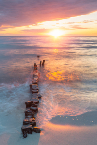Bild-Nr: 12838717 Alte Buhnen im Sonnenuntergang Erstellt von: Daniela Beyer