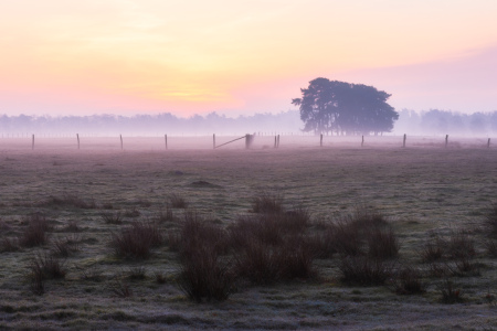 Bild-Nr: 12838870 Dämmerung in der Lüneburger Heide Erstellt von: Daniela Beyer