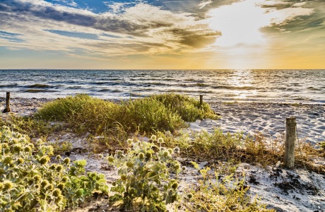 Bild-Nr: 12839358 Goldene Stunde am Ostseestrand Erstellt von: Ursula Reins