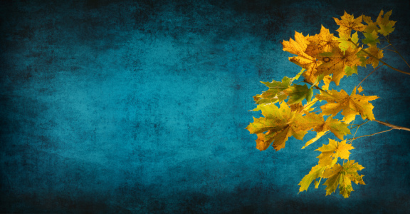 Bild-Nr: 12844974 Gelbe Ahornblätter auf abstraktem Hintergrund Erstellt von: Smileus