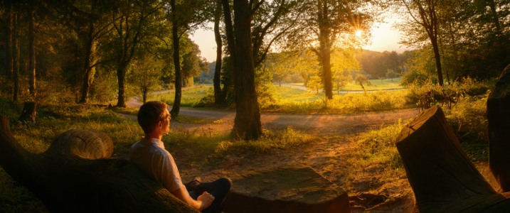 Bild-Nr: 12845070 Mann auf einer Bank genießt den Sonnenuntergang Erstellt von: Smileus