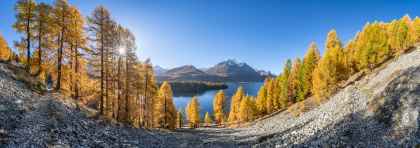 Bild-Nr: 12847645 Herbstwanderung entlang dem Silsersee Erstellt von: eyetronic