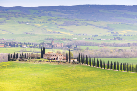 Bild-Nr: 12848473 Toskana Erstellt von: DirkR