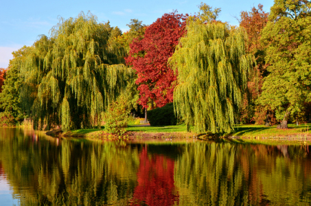 Bild-Nr: 12850302 Herbst im Park Erstellt von: Atteloi