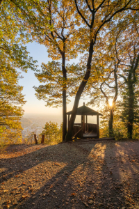 Bild-Nr: 12852333 Heidelberg Fuchsrondell im Herbst Erstellt von: eyetronic