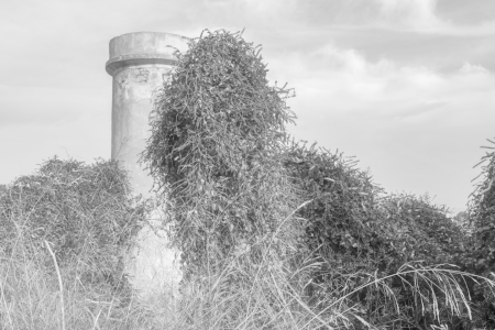 Bild-Nr: 12852609 aufgegebener Steinturm einer Windmühle Erstellt von: volker heide