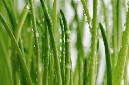 Bild-Nr: 12856339 Tropfen Erstellt von: Atteloi