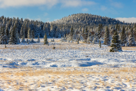 Bild-Nr: 12868376 Winterlandschaft im Erzgebirge Erstellt von: Daniela Beyer