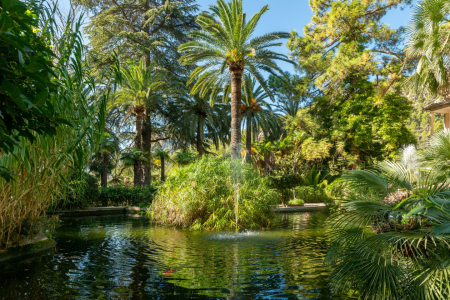 Bild-Nr: 12870973 Wasserspiele am Teich auf Mallorca Erstellt von: volker heide