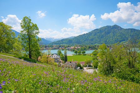 Bild-Nr: 12874294 Blumenwiese am Leeberg Tegernsee Erstellt von: SusaZoom
