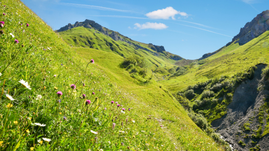 Bild-Nr: 12875523 Frühlingswiese am Bach  Erstellt von: SusaZoom