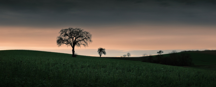 Bild-Nr: 12875750 Einsamer Baum auf einem Hügel Erstellt von: Smileus