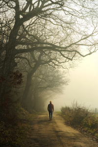 Bild-Nr: 12877488 Mann auf nebligen Weg im stimmungsvollem Licht Erstellt von: Smileus