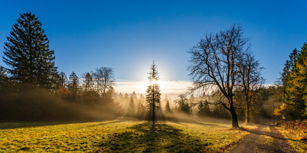 Bild-Nr: 12877507 Westweg bei Dobel im Schwarzwald Erstellt von: dieterich